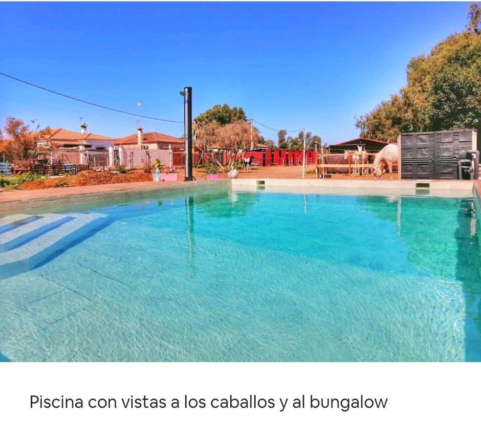 Apartmán Granja America Chiclana de la Frontera Exteriér fotografie